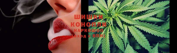 гидра Заволжье