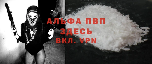 гидра Заводоуковск