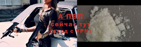 гидра Заводоуковск