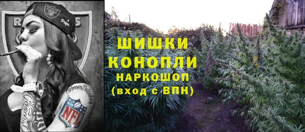 гидра Заволжье