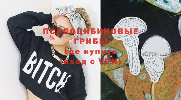гидра Заводоуковск
