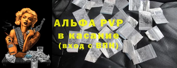 гидра Заводоуковск